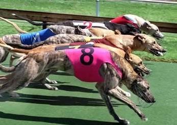 Foto: Banjarsk� chrt, Band�arsk� chrt