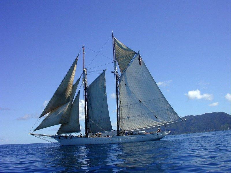 Foto: Britsk� panensk� ostrovy