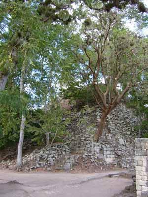 Foto: Honduras-Cop�n - Templo 16