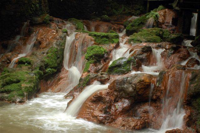 Foto: Indon�sie-Lembang