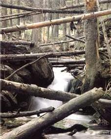 Foto: Jiho�esk� kraj-Boub�n