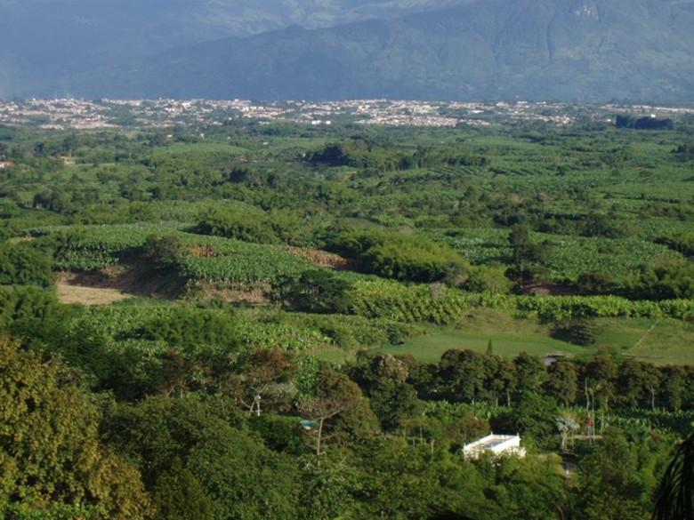 Foto: Kolumbie-Montenegro