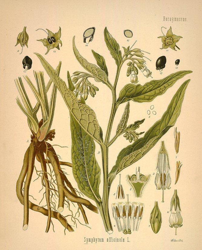 Foto: Kostival L�ka�sk�