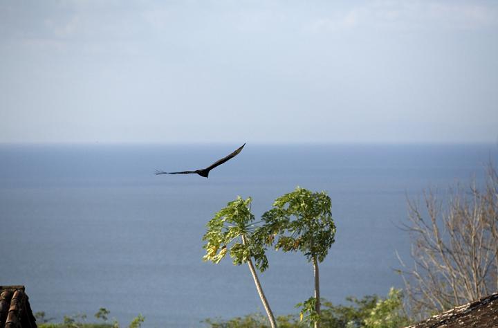 Foto: Nikaragua-Omotepe