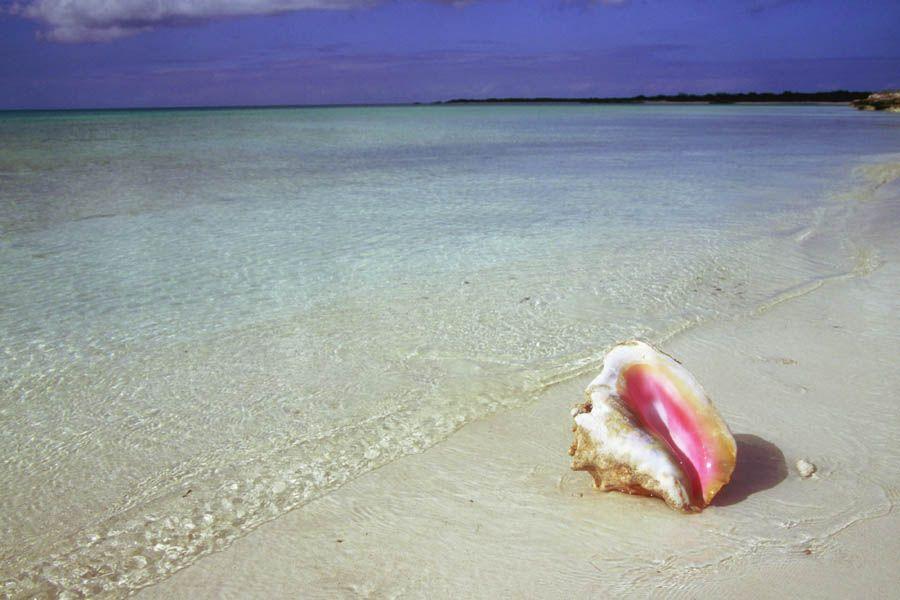 Foto: Ostrovy Turks a Caicos