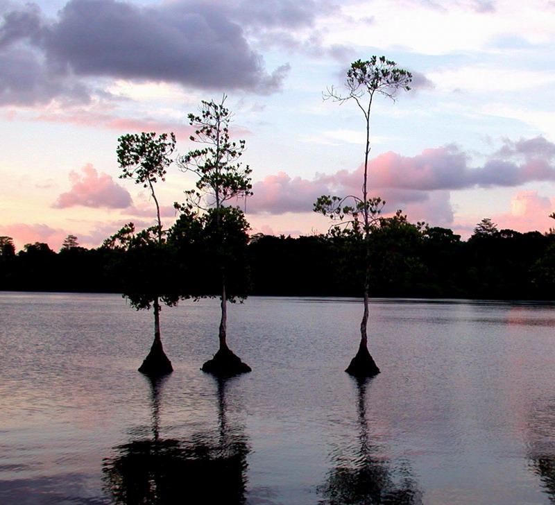 Foto: Papua-Nov� Guinea-East New Britain