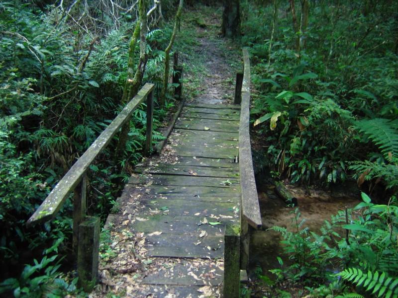 Foto: Paraguay-Canindeyu