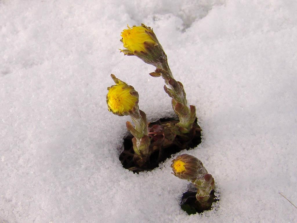 Foto: Podb�l L�ka�sk�