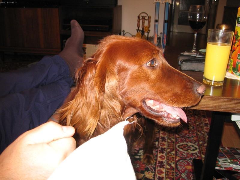 Fotky: Set�i (foto, obrazky)