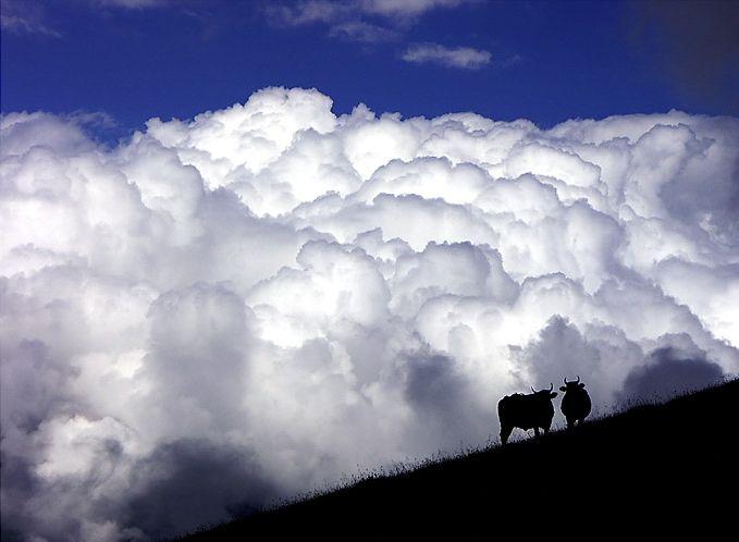 Foto: Svazijsko-Hhohho