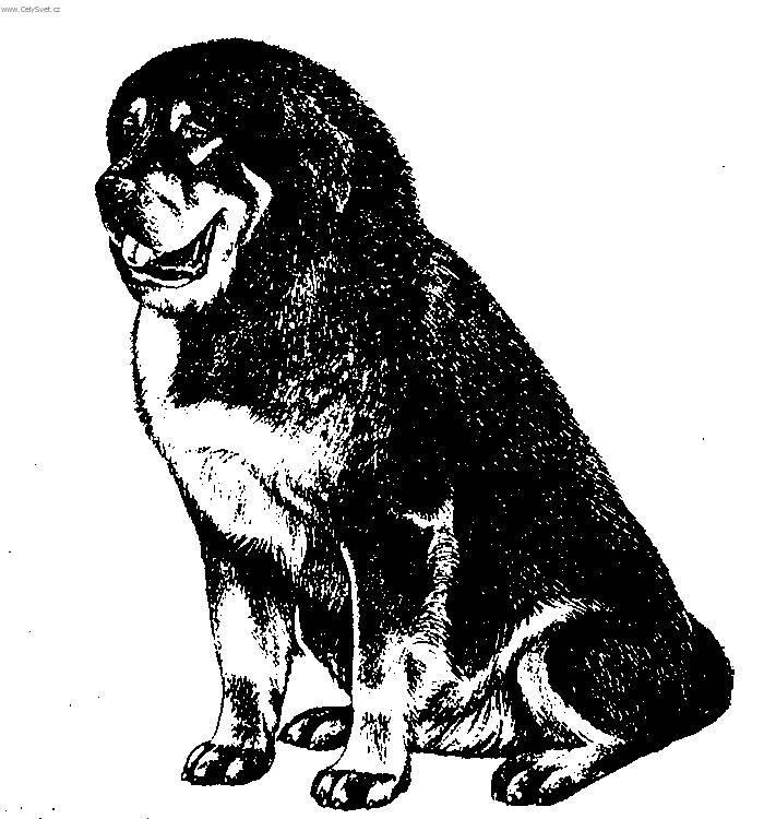 Foto: Tibetsk� doga-Kresba