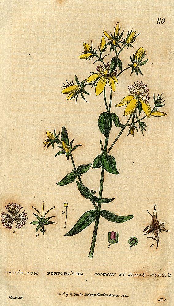 Foto: T�ezalka Te�kovan�