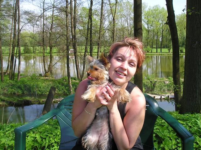 Fotky: York��rsk� terier (foto, obrazky)