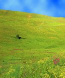 Fotky: �r�n (foto, obrazky)