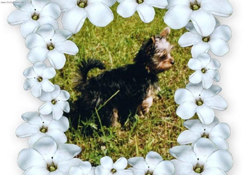 Foto: ��h�n�