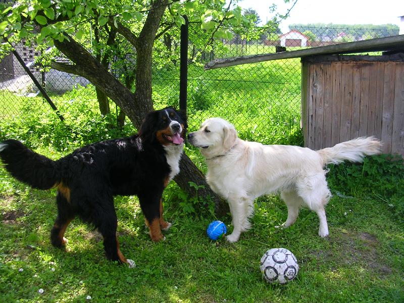 Foto: Max�k s kamar�dem