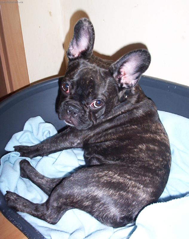 Foto: Roz�rka 5 m�s�c�