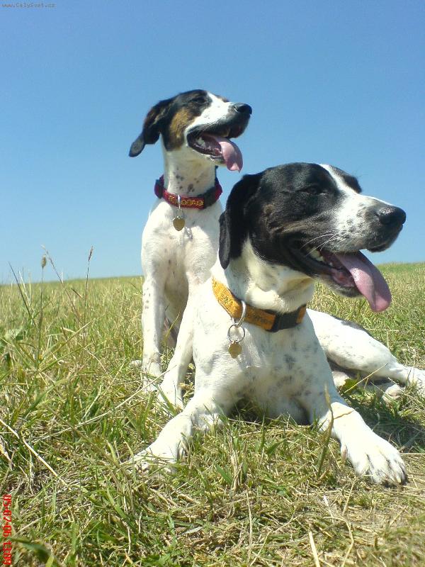 Foto: mil��kov�