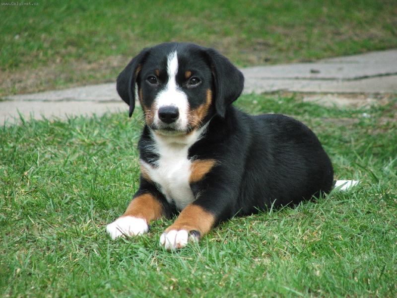 Foto: Amos-Jsem tu s V�mi r�d.