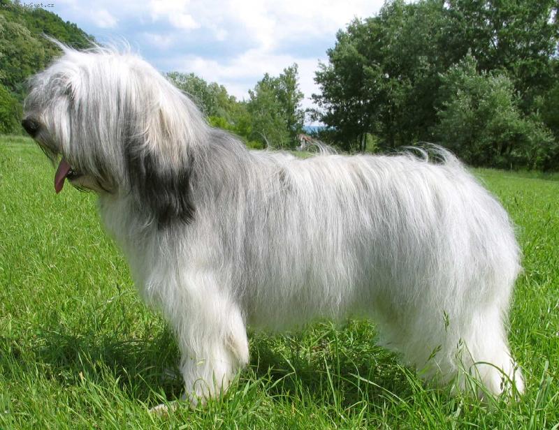 Foto: Polska Pyza Kontekst