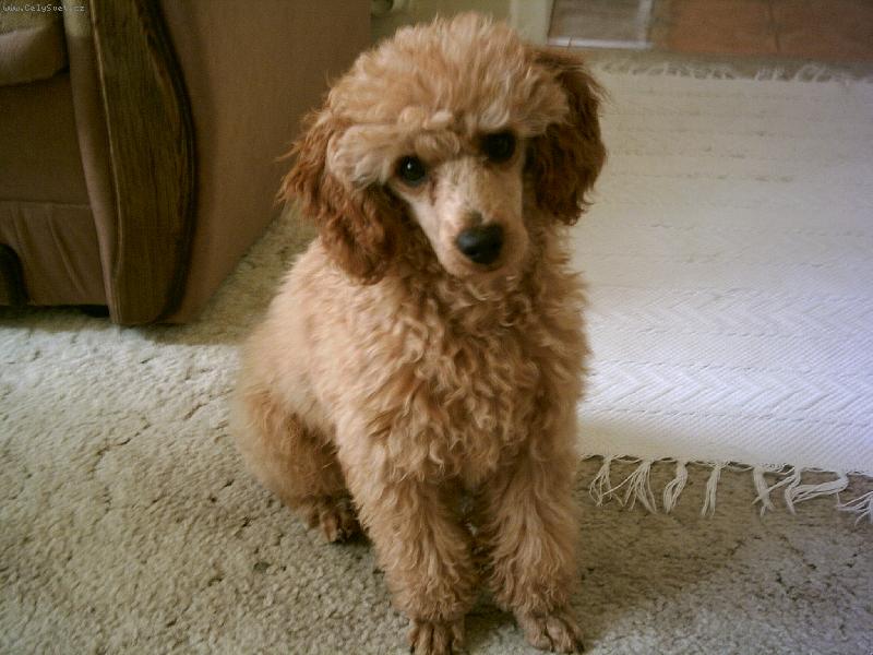 Foto: Na�e �t�n�