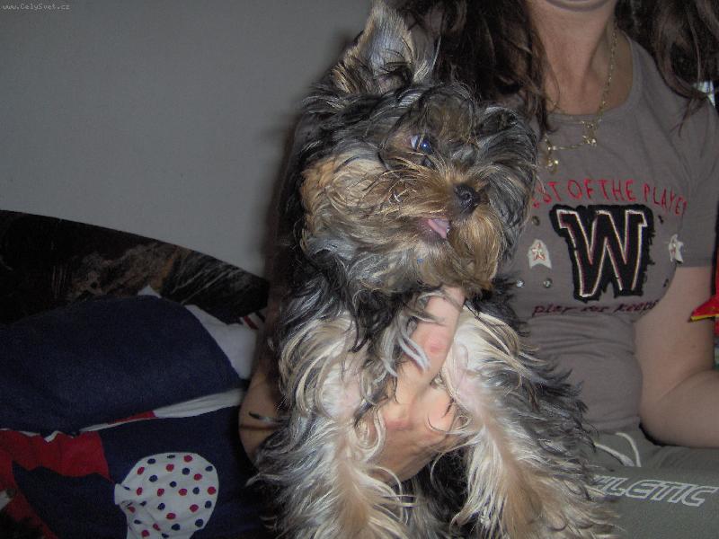 Foto: Charlie