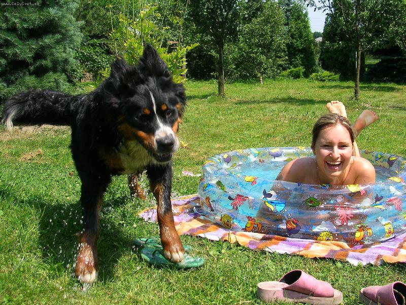 Foto: Max�k-Max�k v baz�nu