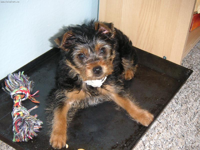 Foto: �umiv� Maxime