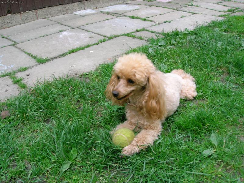 Foto: Sindy-odpo�inek