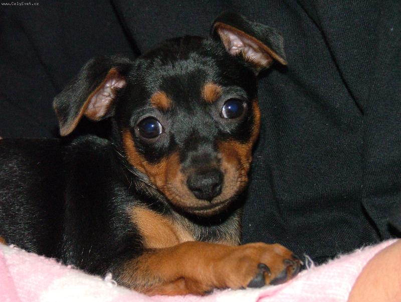 Foto: Poprv� doma - 7 t�dn�