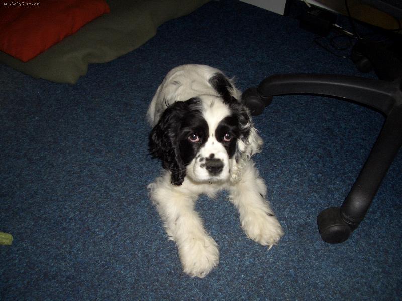 Foto: jsem modelka:-)