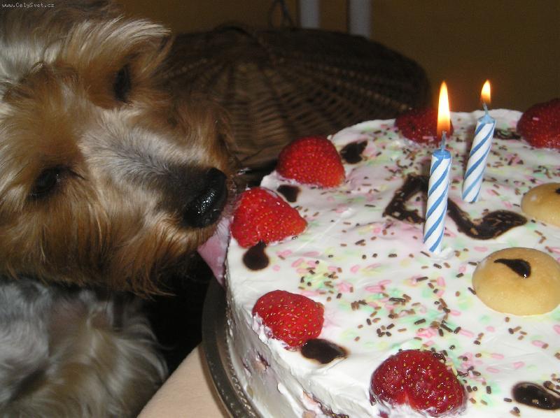 Foto: Ri��nek-mnam...