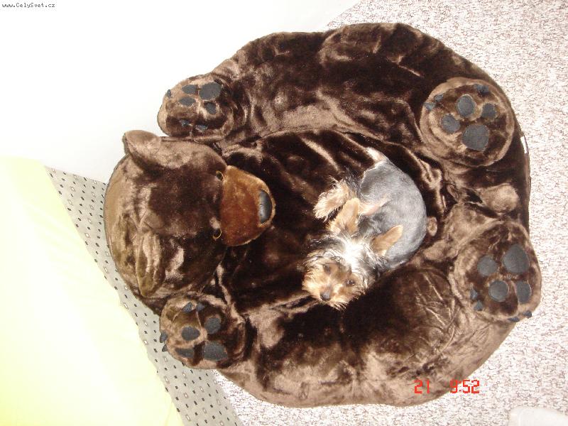 Foto: super pole�en��ko