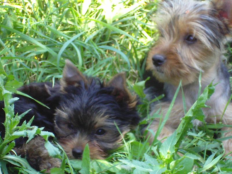 Foto: Na chv�li m�r