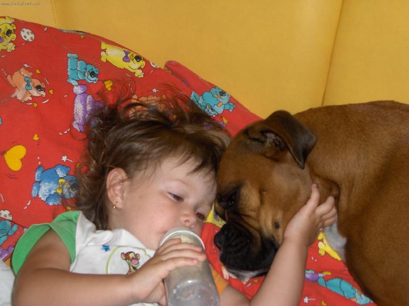 Foto: Donna - vern� stra�ca :O)