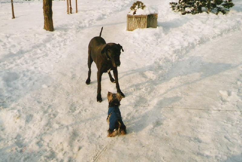 Foto: JENNY-SLE�NA