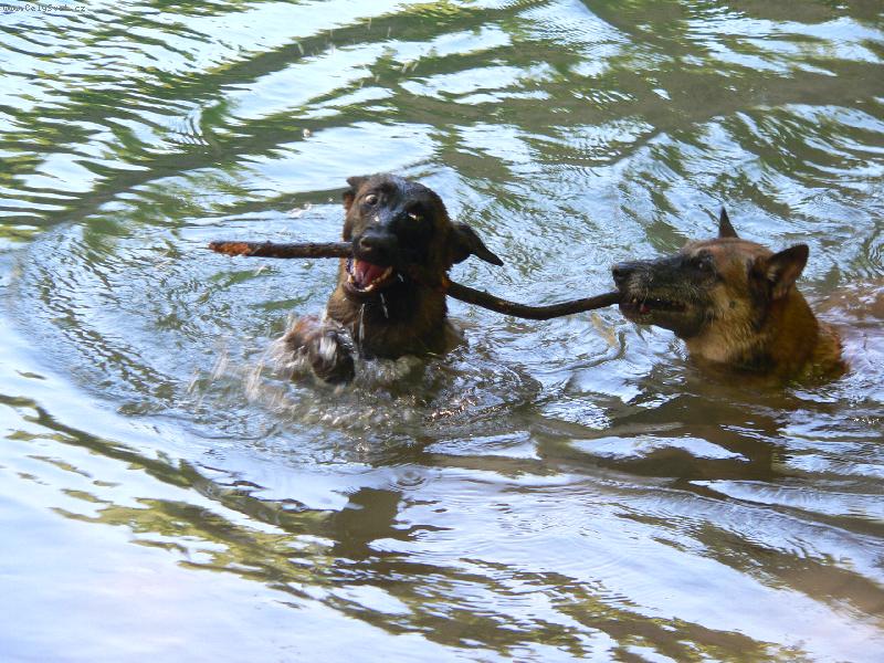 Foto: Malin� vyd�i�ky