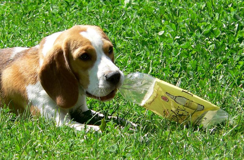 Foto: S�rinka-Nej hra�ka