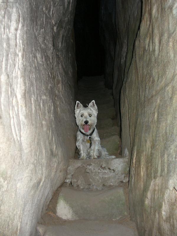 Foto: Sunny na v�let�