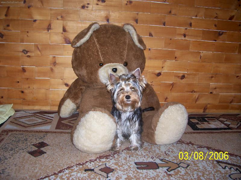 Foto: Bessy