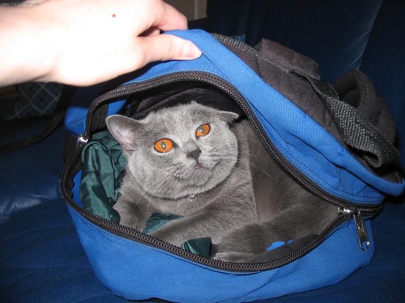 Foto: Ba�ohov�;-)