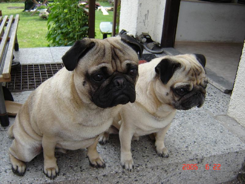 Foto: Maxmili�n a Albert