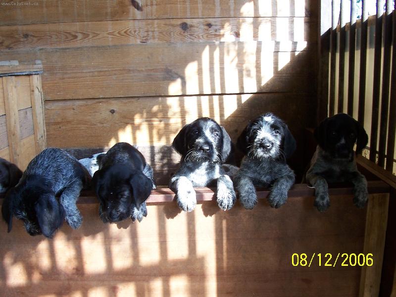 Foto: �t��ata-�t��ata Gity Kenislej