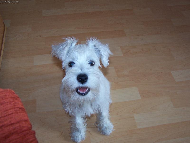 Foto: U� m�m 3,5 m�s�ce-�sm�v pros�m