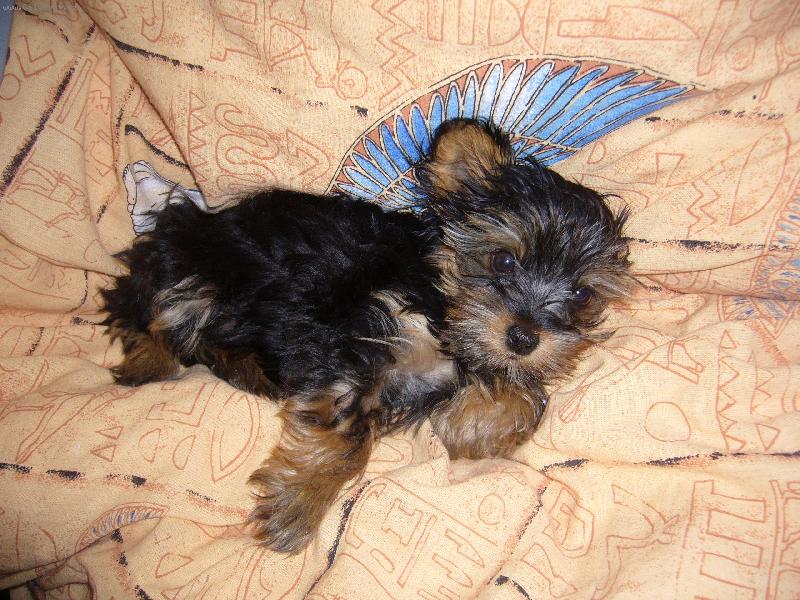 Foto: v posteli je to NEJLEP��!!! :-))