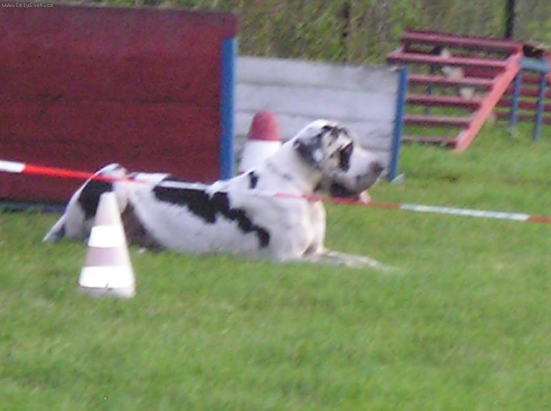 Foto: Bonaparte-V�cvikov� t�bor