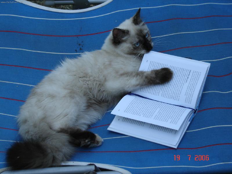 Foto: �ten��ka