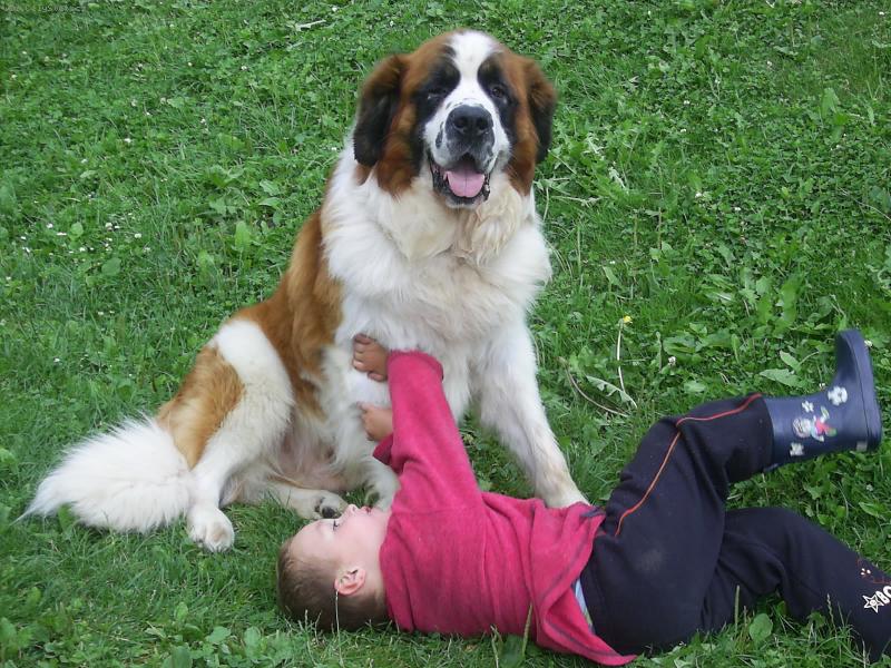 Foto: Nerozlu�n� dvojka-Bez sebe ani r�nu