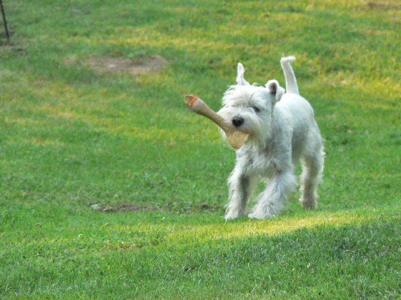 Foto: Cyrus von Ignorant 1