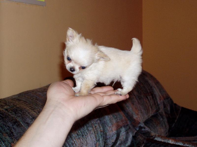 Foto: �imda- �imonek ve 3 m�s�c�ch